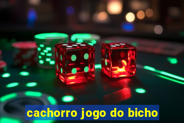 cachorro jogo do bicho